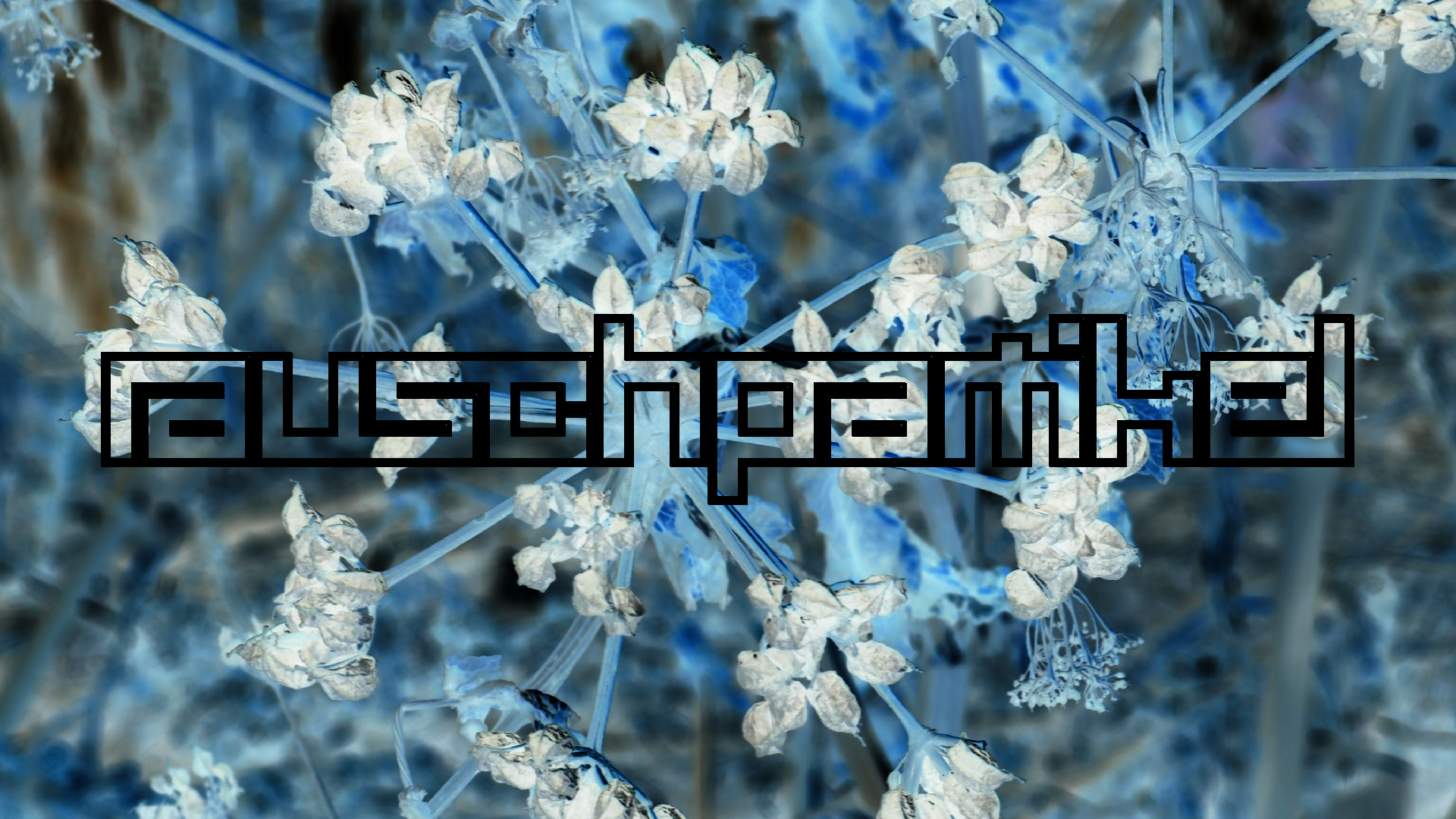 2021-09-09 02 unterwegs (Foto) 